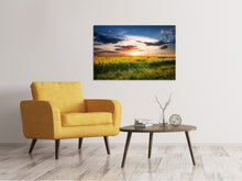 Load image into Gallery viewer, Canvas print A Field Of Sunflowers