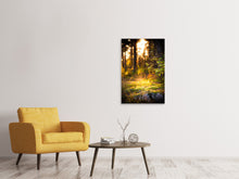 Load image into Gallery viewer, Canvas print The Forest In The Background