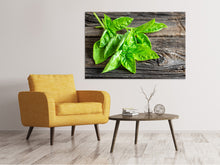 Load image into Gallery viewer, Canvas print Basil Leaves