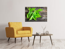 Load image into Gallery viewer, Canvas print Basil Leaves