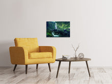 Load image into Gallery viewer, Canvas print Nature