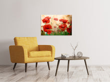 Load image into Gallery viewer, Canvas print The Poppy