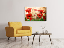 Load image into Gallery viewer, Canvas print The Poppy