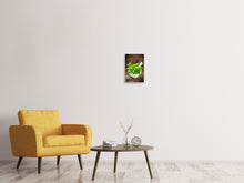 Load image into Gallery viewer, Canvas print Fresh Basil