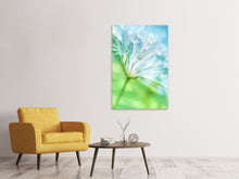 Load image into Gallery viewer, Canvas print Macro Dandelion
