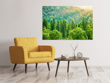 Load image into Gallery viewer, Canvas print The Forest Hill
