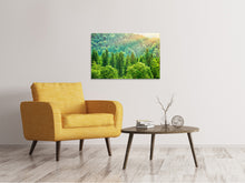 Load image into Gallery viewer, Canvas print The Forest Hill