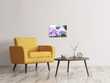 Load image into Gallery viewer, Canvas print Hydrangeas