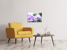 Load image into Gallery viewer, Canvas print Hydrangeas