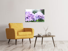 Load image into Gallery viewer, Canvas print Hydrangeas
