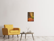 Load image into Gallery viewer, Canvas print Deciduous Forest In Autumn Light