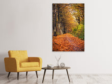 Load image into Gallery viewer, Canvas print Deciduous Forest In Autumn Light