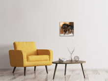 Load image into Gallery viewer, Canvas print Black Beauty