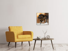 Load image into Gallery viewer, Canvas print Black Beauty