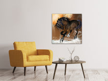 Load image into Gallery viewer, Canvas print Black Beauty