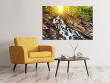 Load image into Gallery viewer, Canvas print Natural Beauty