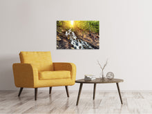 Load image into Gallery viewer, Canvas print Natural Beauty