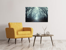 Load image into Gallery viewer, Canvas print Cloud Forest