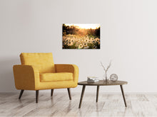 Load image into Gallery viewer, Canvas print Daisies At Sunset