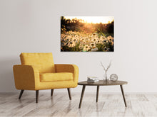 Load image into Gallery viewer, Canvas print Daisies At Sunset