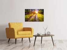 Load image into Gallery viewer, Canvas print The Forest Path