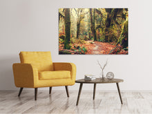 Load image into Gallery viewer, Canvas print Fairies Forest