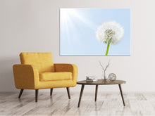 Load image into Gallery viewer, Canvas print Dandelion In Sunbeam
