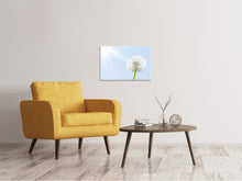 Load image into Gallery viewer, Canvas print Dandelion In Sunbeam