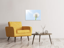 Load image into Gallery viewer, Canvas print Dandelion In Sunbeam