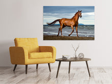 Load image into Gallery viewer, Canvas print A Thoroughbred At The Sea