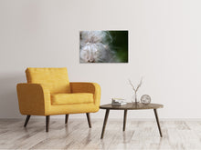 Load image into Gallery viewer, Canvas print Close up Flowers Fibers