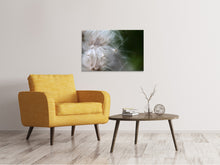 Load image into Gallery viewer, Canvas print Close up Flowers Fibers