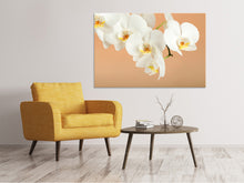 Load image into Gallery viewer, Canvas print White Orchid Flowers