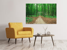 Load image into Gallery viewer, Canvas print Pine Forests
