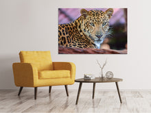 Load image into Gallery viewer, Canvas print Leopard