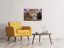 Load image into Gallery viewer, Canvas print Leopard