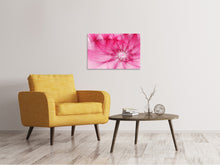 Load image into Gallery viewer, Canvas print Photowallpaper Abstract Daylight