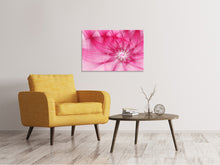 Load image into Gallery viewer, Canvas print Photowallpaper Abstract Daylight