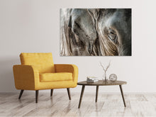 Load image into Gallery viewer, Canvas print Close Up Elephant