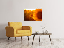 Load image into Gallery viewer, Canvas print Macro Sunflower