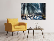 Load image into Gallery viewer, Canvas print Forest In The Light Beam