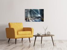 Load image into Gallery viewer, Canvas print Forest In The Light Beam