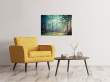 Load image into Gallery viewer, Canvas print Pinewood