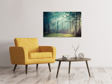 Load image into Gallery viewer, Canvas print Pinewood