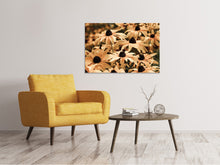 Load image into Gallery viewer, Canvas print Daisies In Sepia