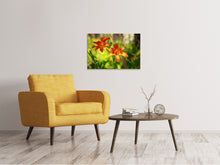 Load image into Gallery viewer, Canvas print Lilies In Nature
