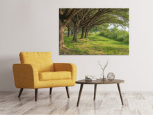 Load image into Gallery viewer, Canvas print Mature Trees