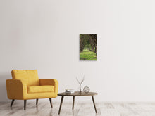 Load image into Gallery viewer, Canvas print In The Forest