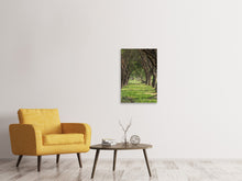 Load image into Gallery viewer, Canvas print In The Forest