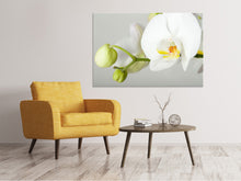 Load image into Gallery viewer, Canvas print Giant Orchid